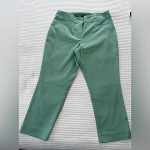 Ann Taylor Mint Green Straight Leg Pants